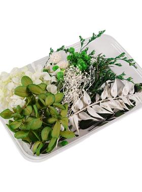 盒装diy手工天然永生花干花材料