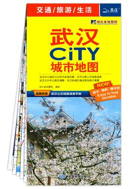 2026年新版武汉CITY城市地图