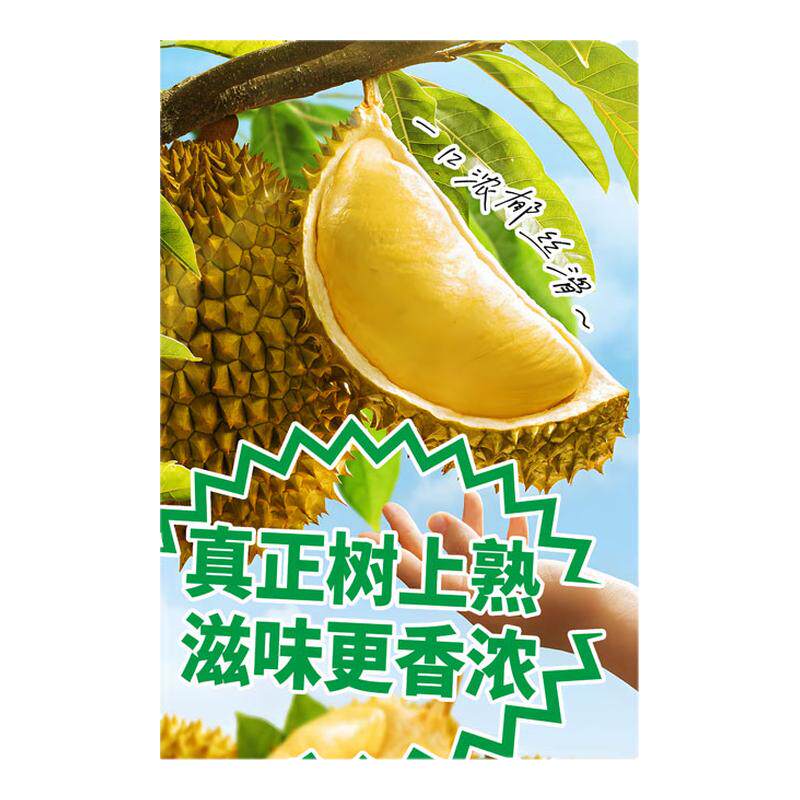 榴莲海报装饰画水果店墙面挂画壁画榴莲生熟判别打开方法KT展板画