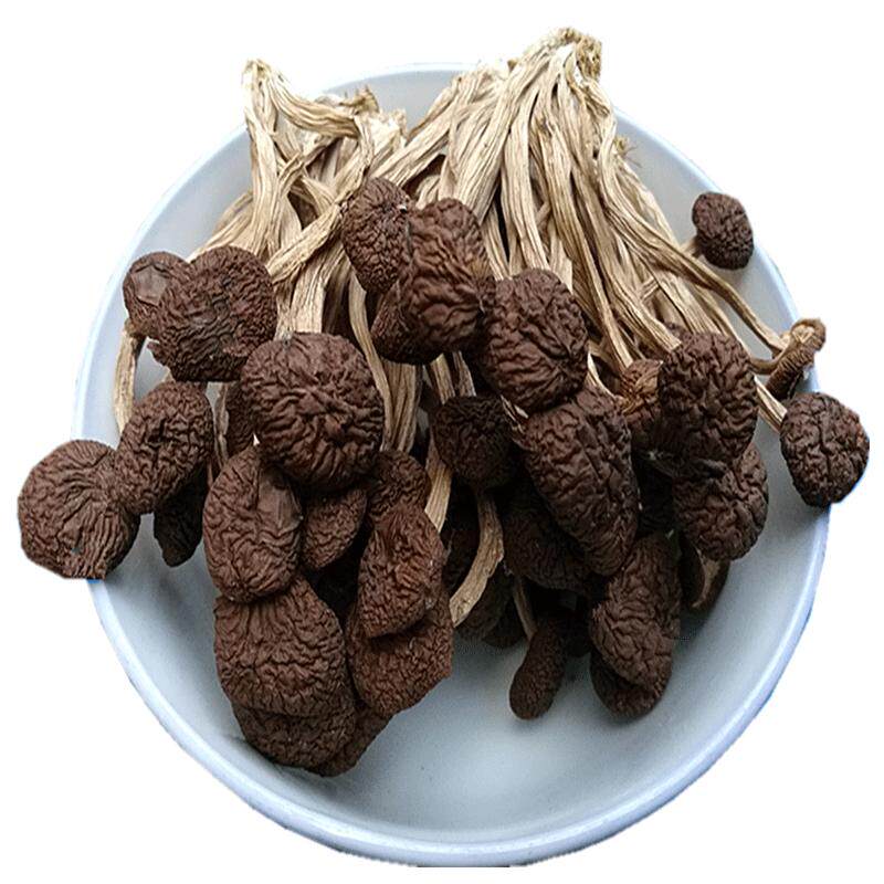 新鲜茶树菇干货500g江西广昌茶树菇不开伞农家茶薪菇柄短香嫩特产