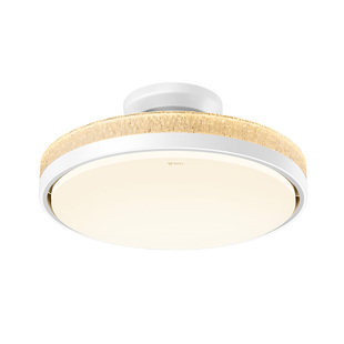 公牛无叶风扇灯除菌杀菌除病毒净化空气儿童房卧室吸顶灯电风扇灯