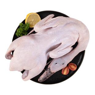 温氏农养麻鸭1.2kg 农家生态散养鸭子整鸭净膛生鲜鸭肉煲鸭汤