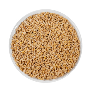 浮小麦500g克正宗浮麦瘪小麦子可配甘草大枣茶新货正品官方旗舰店