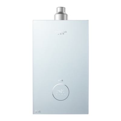 ao史密斯家用燃气热水器恒温新品