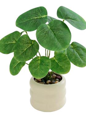 仿真绿植假植物桌面装饰摆件逼真