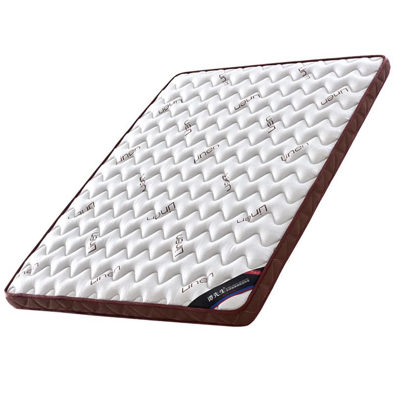 席梦思太软加硬棕垫超薄超硬2cm3cm4cm椰棕垫榻榻米床垫炕垫定做