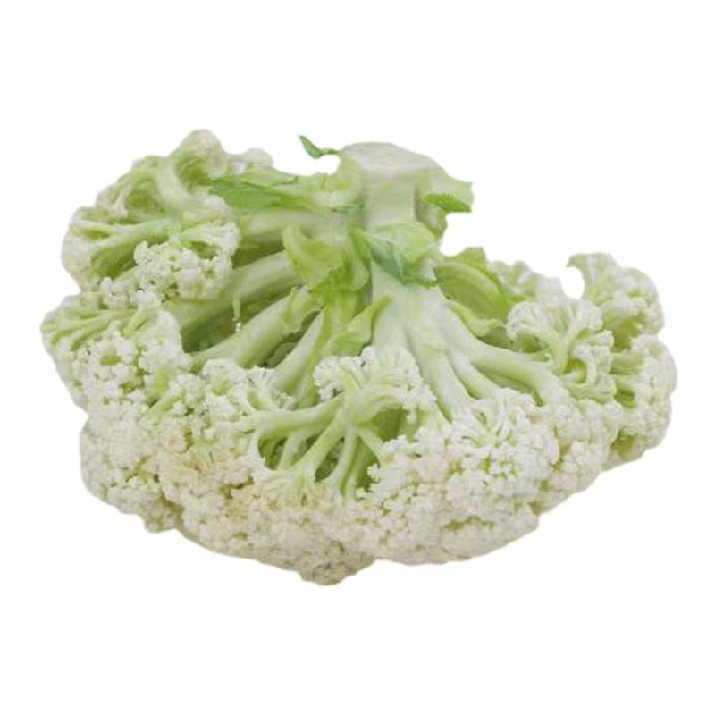 青梗松花菜秧苗四季蔬菜秧苗