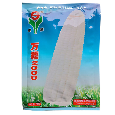 万糯2000玉米种子鲜食白甜糯