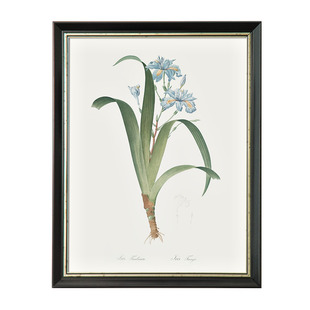 上品印画 雷杜德花卉图谱14幅 美式餐厅植物花卉装饰画挂画墙面