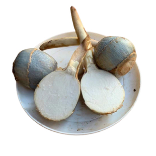 云南白茨菇新鲜包邮现挖白慈姑大号农家自种粉糯茨菰白马蹄蔬菜