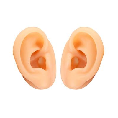 仿真硅胶耳朵模型自家厂没中间商