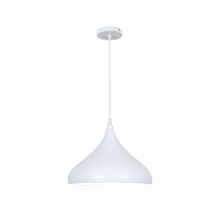 店铺商用创意个性单头吊灯服装店理发店奶茶店餐饮工业风灯罩灯具