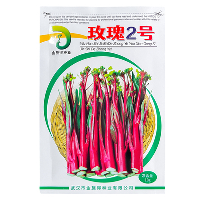 金施得种业玫瑰2号红菜苔早熟种籽高产优质蔬菜青菜老品种子50天