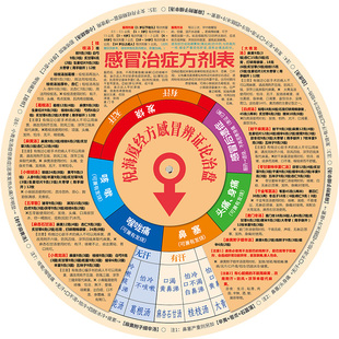 2026伤寒论思维导图金匮要略思维导图中医辨证施治表中医思维导图