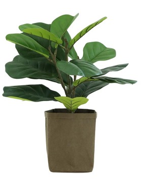 仿真琴叶榕植物高仿龙舌兰盆栽