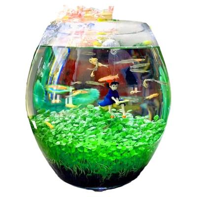 鱼缸水草种子玻璃瓶造景套餐植物