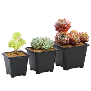 塑料加厚多肉花盆树脂景天群生仙人球盆组合盆小黑白方盆满包邮