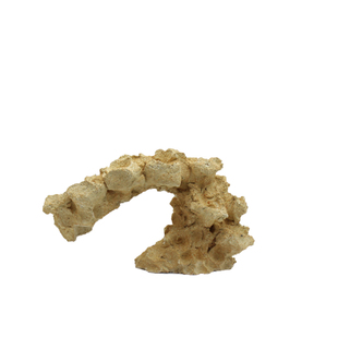 P牌 成品造景石 培菌石海缸珊瑚缸 免爆藻纽扣断枝座纽扣珊瑚底座