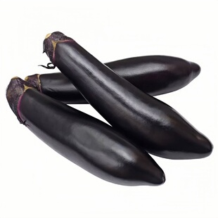 黑长茄苗紫黑色茄子苗壮苗四季秧苗大龙黑长茄苗地栽盆栽带土易活