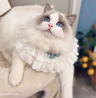 Зеленый цветок