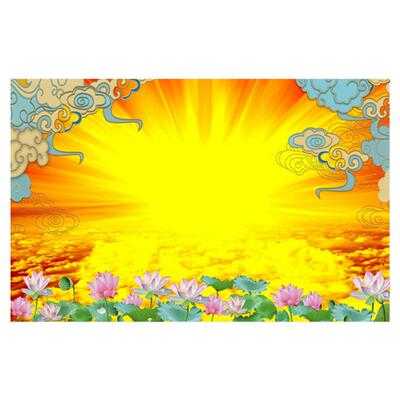 防水防潮佛光普照荷花莲花墙布