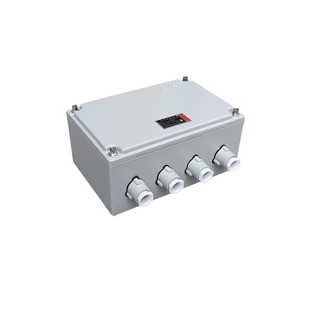 防爆接线箱过线箱200*135*100增安型配电箱接线盒照明开关箱空箱