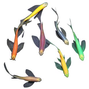 蝶翼斑马鱼长尾长鳍大帆翡翠绿观赏鱼龙凤冷水小型淡水好养小活鱼