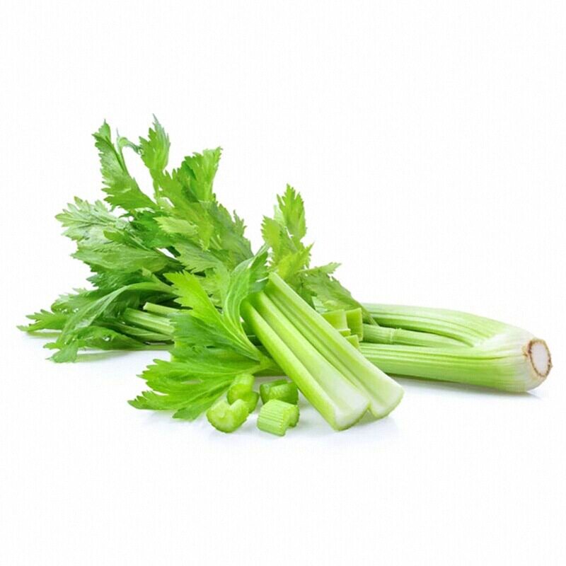 山东寿光土芹菜苗秧西芹香芹红香芹种子味浓高产正宗芹菜苗带土球