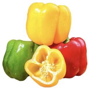 新鲜彩椒生吃甜椒圆椒五彩椒柿子椒红椒黄椒水果椒太空椒绿椒辣椒