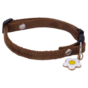 宠物猫咪项圈定制刻字外出防丢狗牌吊牌猫牌小型犬通用脖圈牵引绳