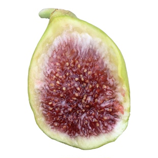 甜糯好吃耐寒斯特拉无花果树苗盆栽大果庭院特大果南方北方