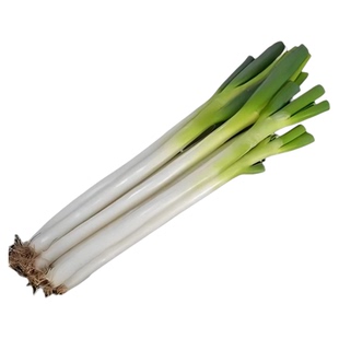 顺丰包邮正宗章丘大葱原产地直发甜脆礼盒装新鲜山东大葱铁杆大葱