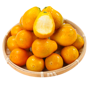 正宗广西脆蜜金柑第三代当季新鲜水果小金桔子金橘融安独立包装5
