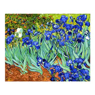 数字油画diy手工填色鸢尾花梵高丙烯油彩画肌理画减压解闷装饰画