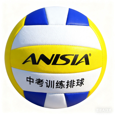 中考学生专用排球5号硬排球正品初中小学生体育考试标准训练排球
