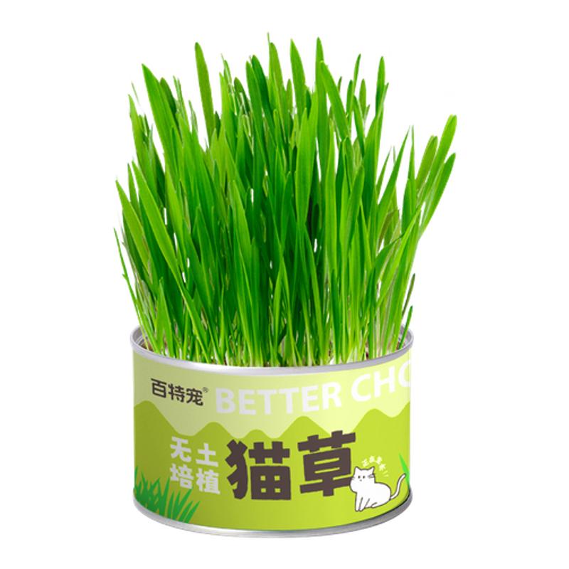 百特宠猫零食猫草化毛无土猫草懒猫草/猫草片