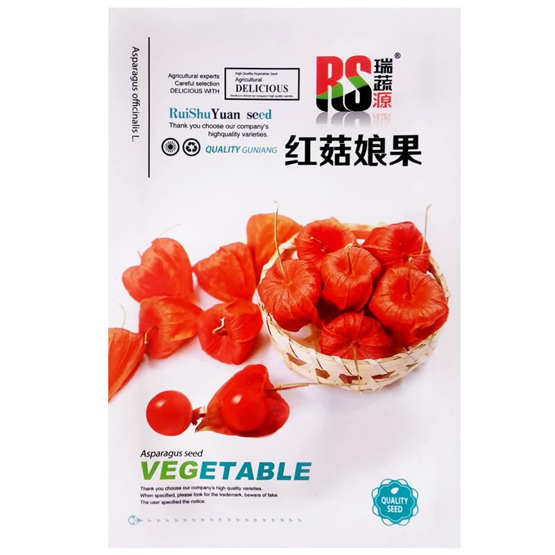 红菇娘果种子东北姑娘红姑娘种籽灯笼果阳台庭院水果型观果种子