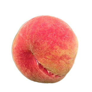 阳山水蜜桃树苗 湖锦蜜露苗 锦绣黄桃苗 蟠桃  5月桃 白凤