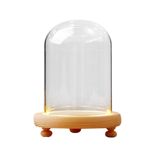 永生花铃兰花发光玻璃罩玫瑰花束积木拼装模型手办盲盒人偶防尘罩