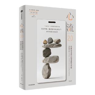 心流2 0 在复杂世界中创造最佳体验 心流之父米哈里研究团队作品 心流的新知识与新应用  斯图尔特 唐纳森 马修 杜宾著 中信出版社