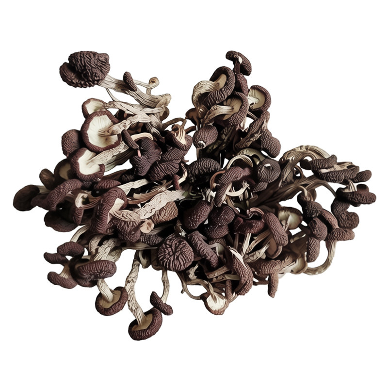 广昌农家茶树菇当季干货不开伞