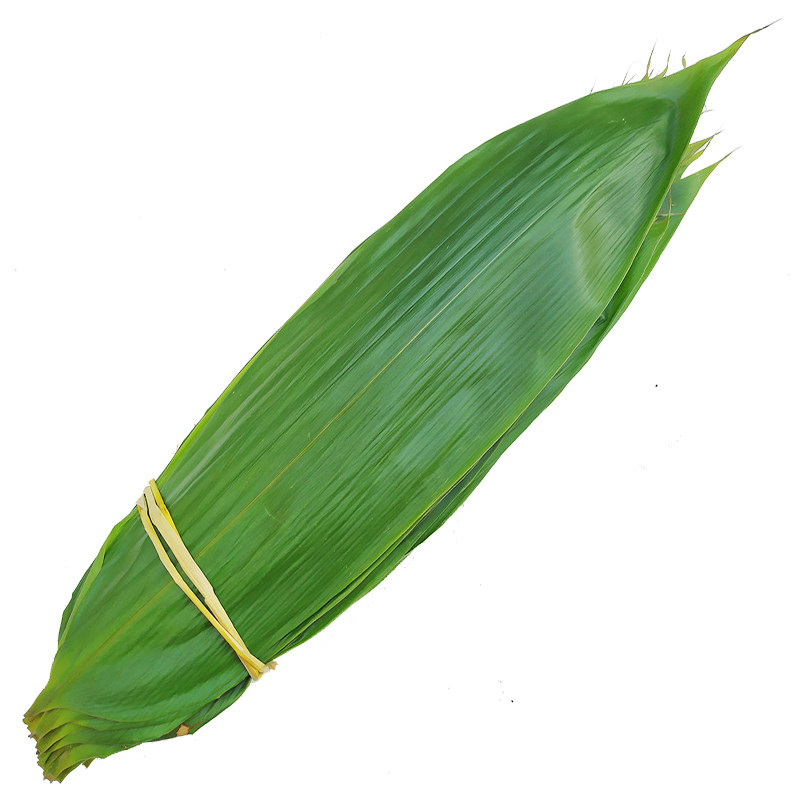新鲜现摘粽叶箬叶粽叶