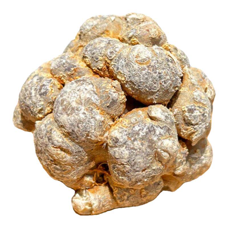10头三七云南文山田七非野生500g