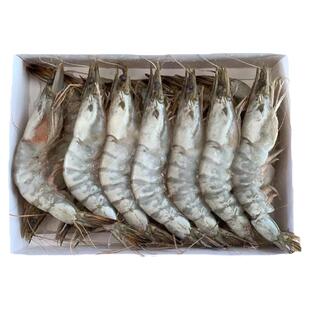 大连渤海湾对虾野生大连海捕冷冻海鲜水产大基围虾对虾冻虾新鲜