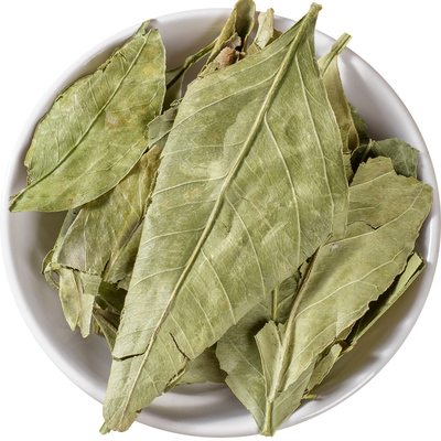 精选金橘叶中药材无硫新货