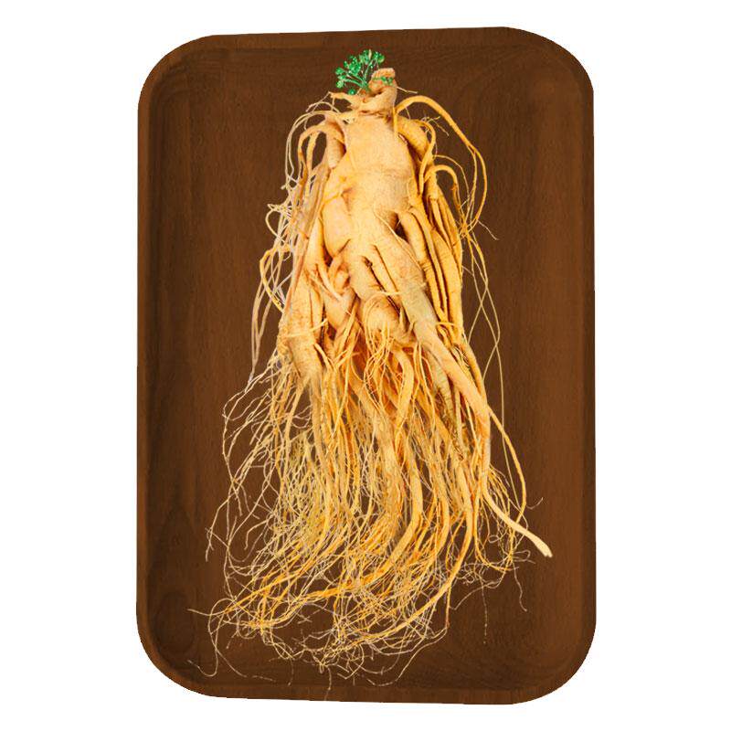 长白山人参高龄参泡酒专用大参