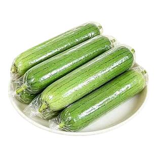 新鲜广西短棒肉丝瓜丝瓜瓜农家时令疏菜现胖水瓜绿皮露天包邮