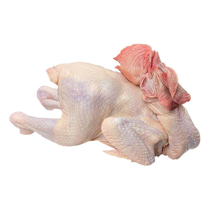 新鲜现杀大公鸡土鸡农家散养走地鸡小公鸡童子鸡柴鸡肉笨草鸡整只