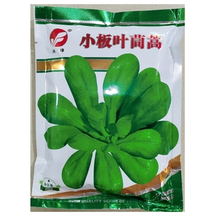 小板叶茼蒿种子耐寒圆叶青茼杆叶蒿子叶种籽春秋种植蔬菜200克/袋