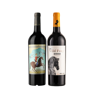 迦南美地古藤兰 小野马干红葡萄酒礼盒套装2支宁夏红酒750ml